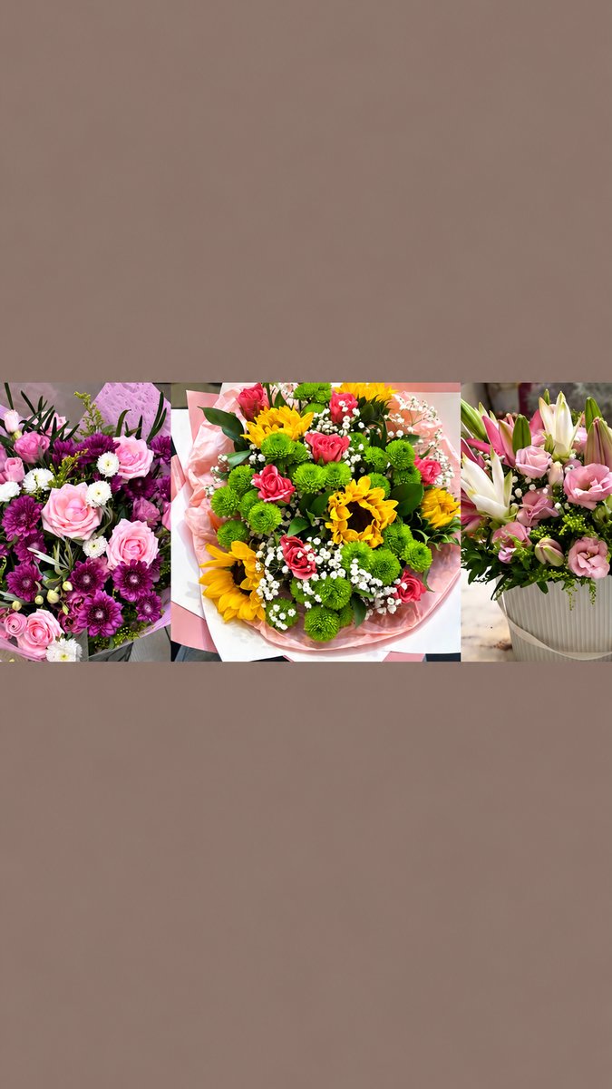 תנאי שימוש — DALIN | FLOWERS BY KARIN